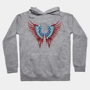 4th of July Wings  #6 Hoodie